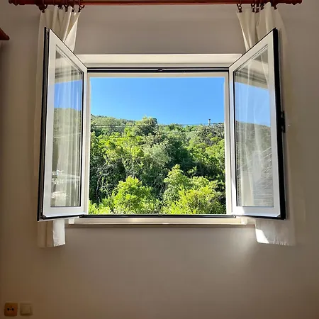 Apartman Luka Zrnovo