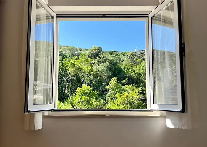 Apartment Luka Zrnovo